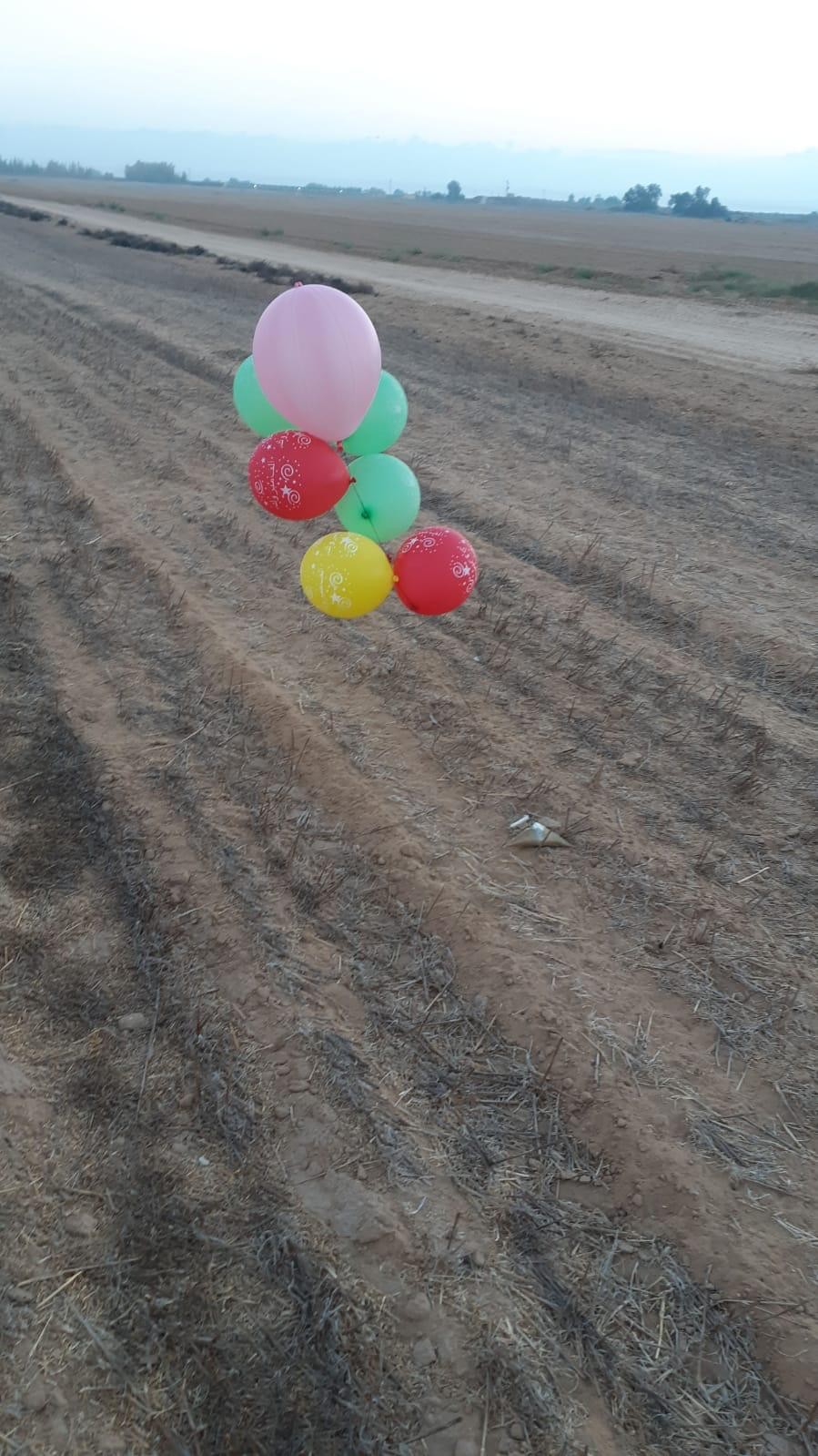 בלוני תבערה. צילום אילוסטרציה