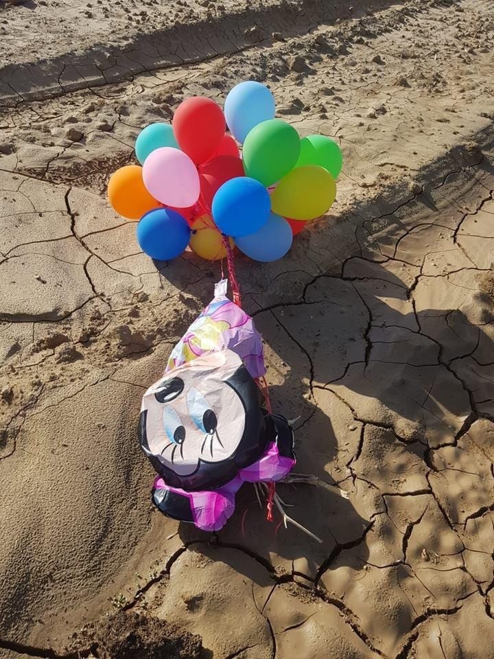 הזוי: צרור בלונים וחפץ חשוד הגיע למצדה