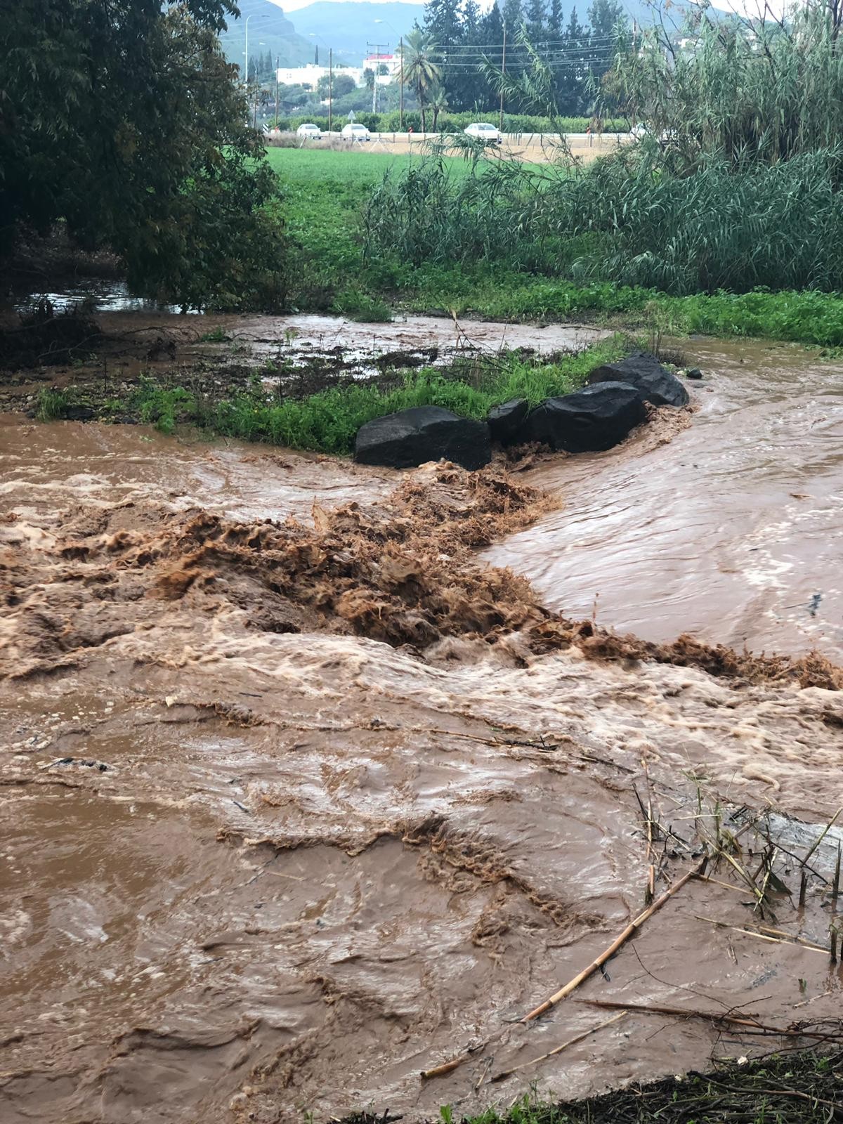 נחל צלמון. זרימת הנחלים מעלה את המפלס. צילום: יוסי רווח, רשות הכינרת