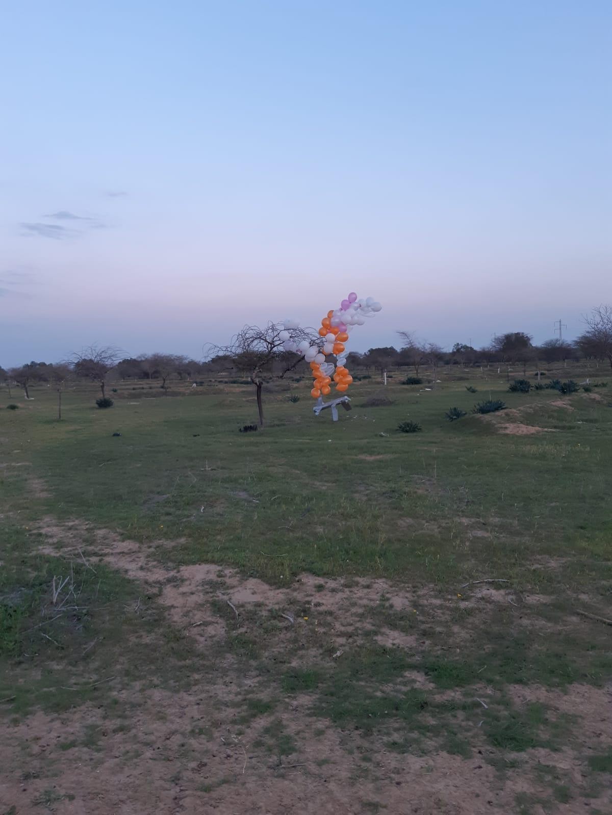 בלוני תבערה במועצת אשכול. צילום: ארכיון