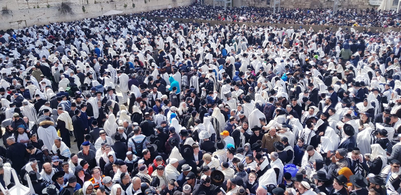 מעמד ברכת הכהנים בכותל, היום. צילום: קבוצת רוטרניק תקשורת
