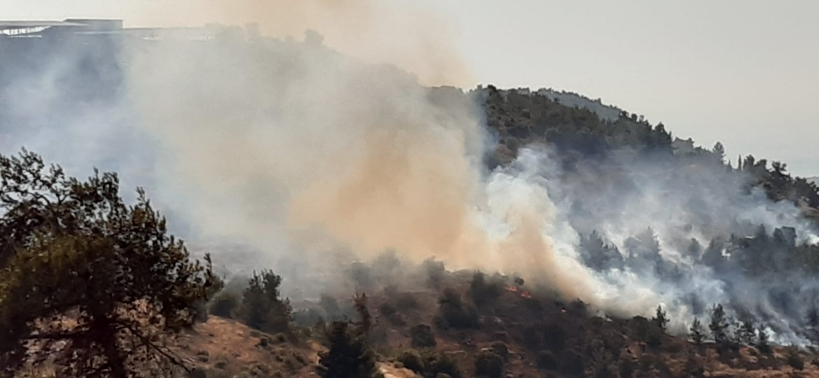 שריפה מאיימת על קיבוץ מעלה החמישה
