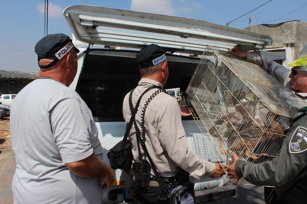 כוחות הביטחון פשטו על ערבים שסחרו בבע"ח
