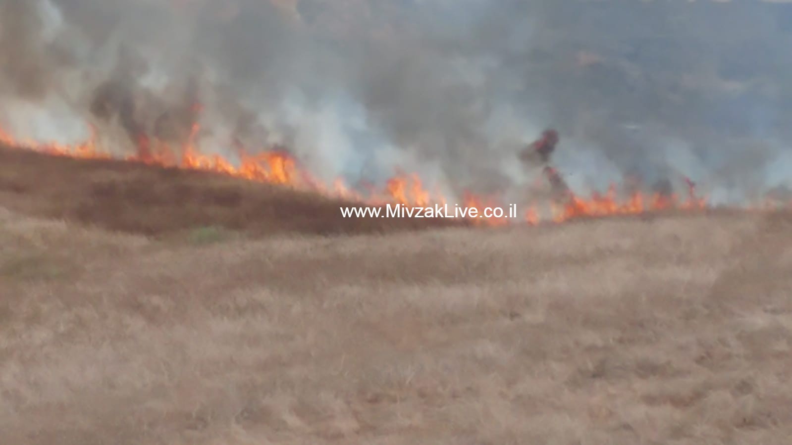 שתי שריפות פרצו בעוטף כתוצאה מפגיעת בלוני תבערה