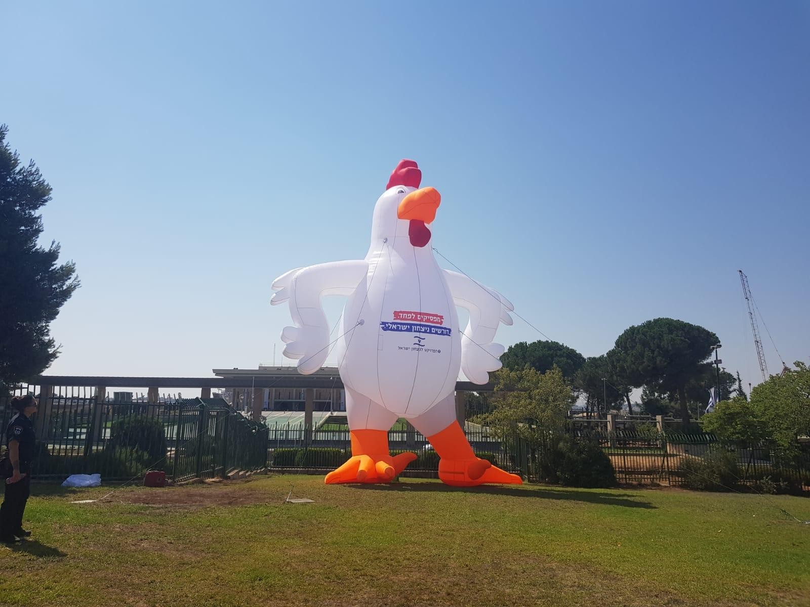 מחאה נגד הממשלה: תרנגולת בגובה 10 מטרים הוצבה מחוץ לכנסת