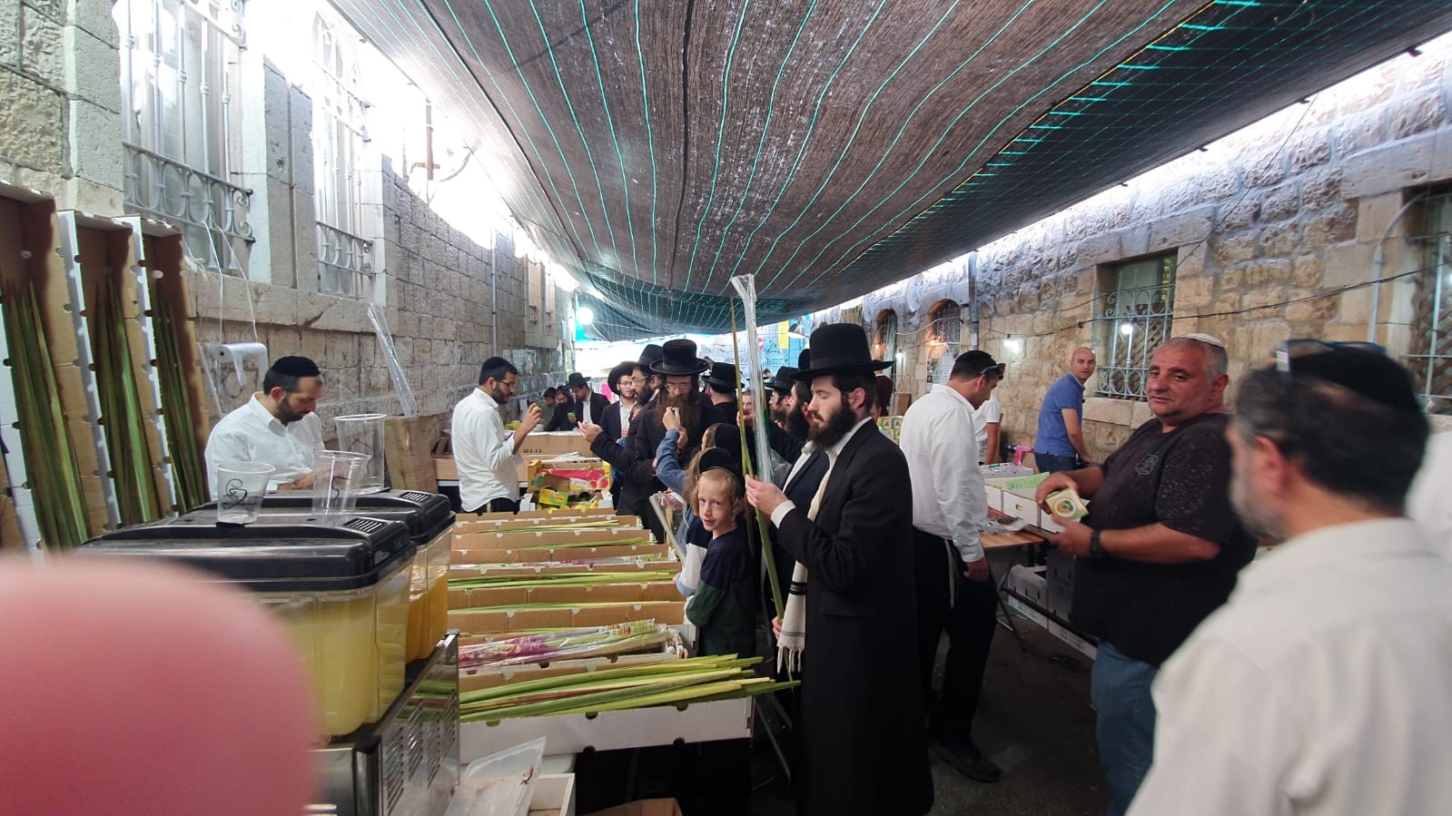 מתכוננים לחג: שוק ארבעת המינים בירושלים