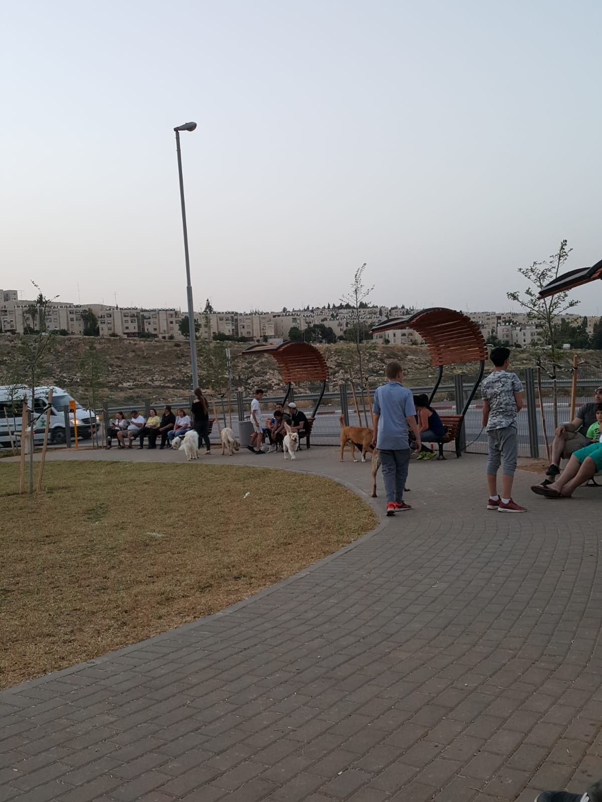 בשורה לבעלי הכלבים בירושלים: עוד גינות לשחרור כלבים