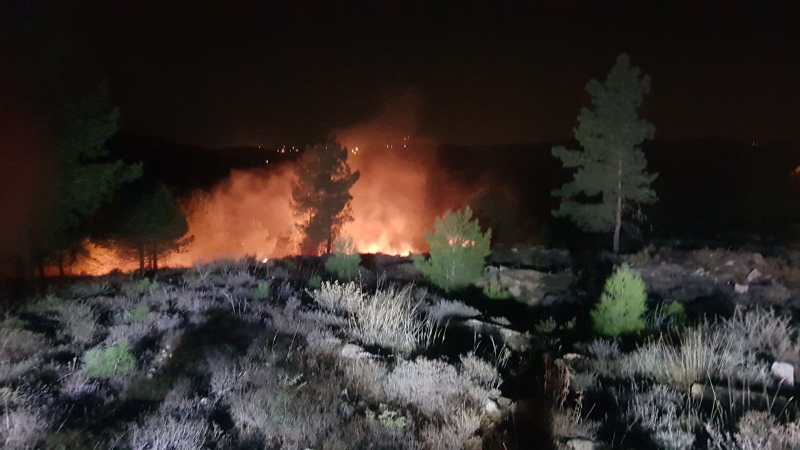 טרור הצתות בגוש עציון