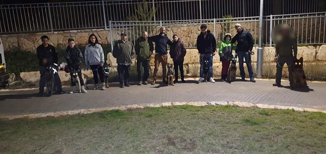 בגוש עציון מאמצים כלבים להגנה מטרור