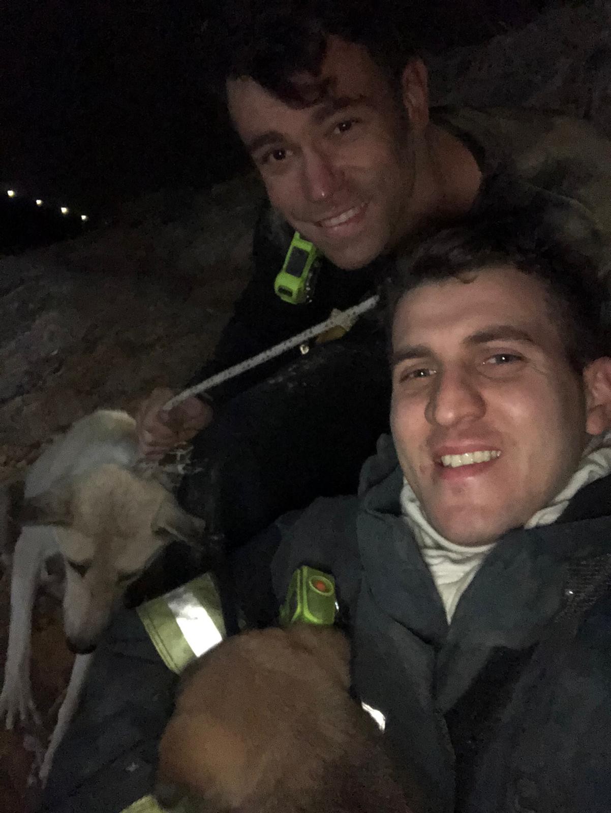 גור כלבים חולץ מבור לאחר שהיה בסכנת חיים