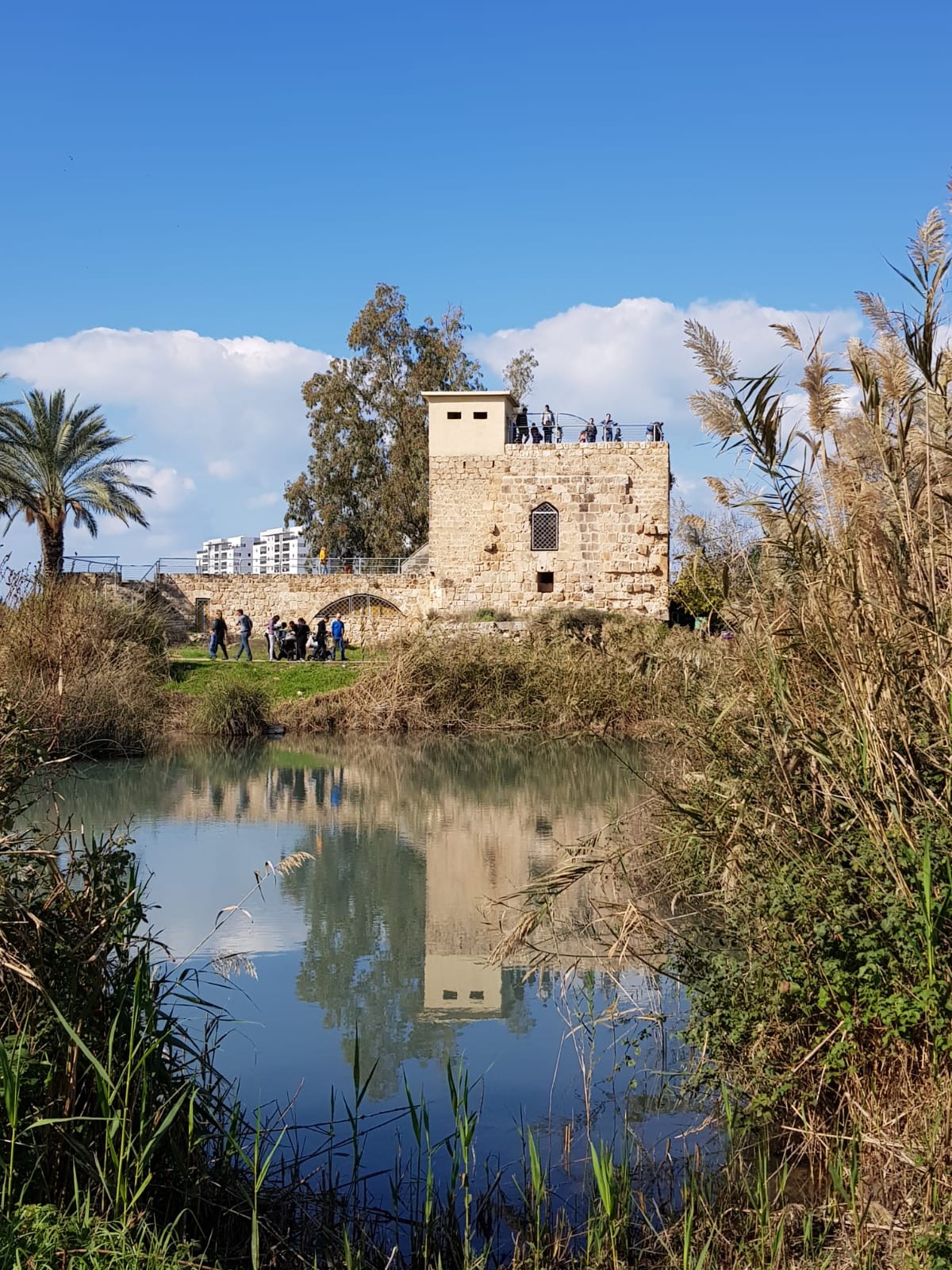 עין אפק. צילום: תמר עבדת, רשות הטבע והגנים