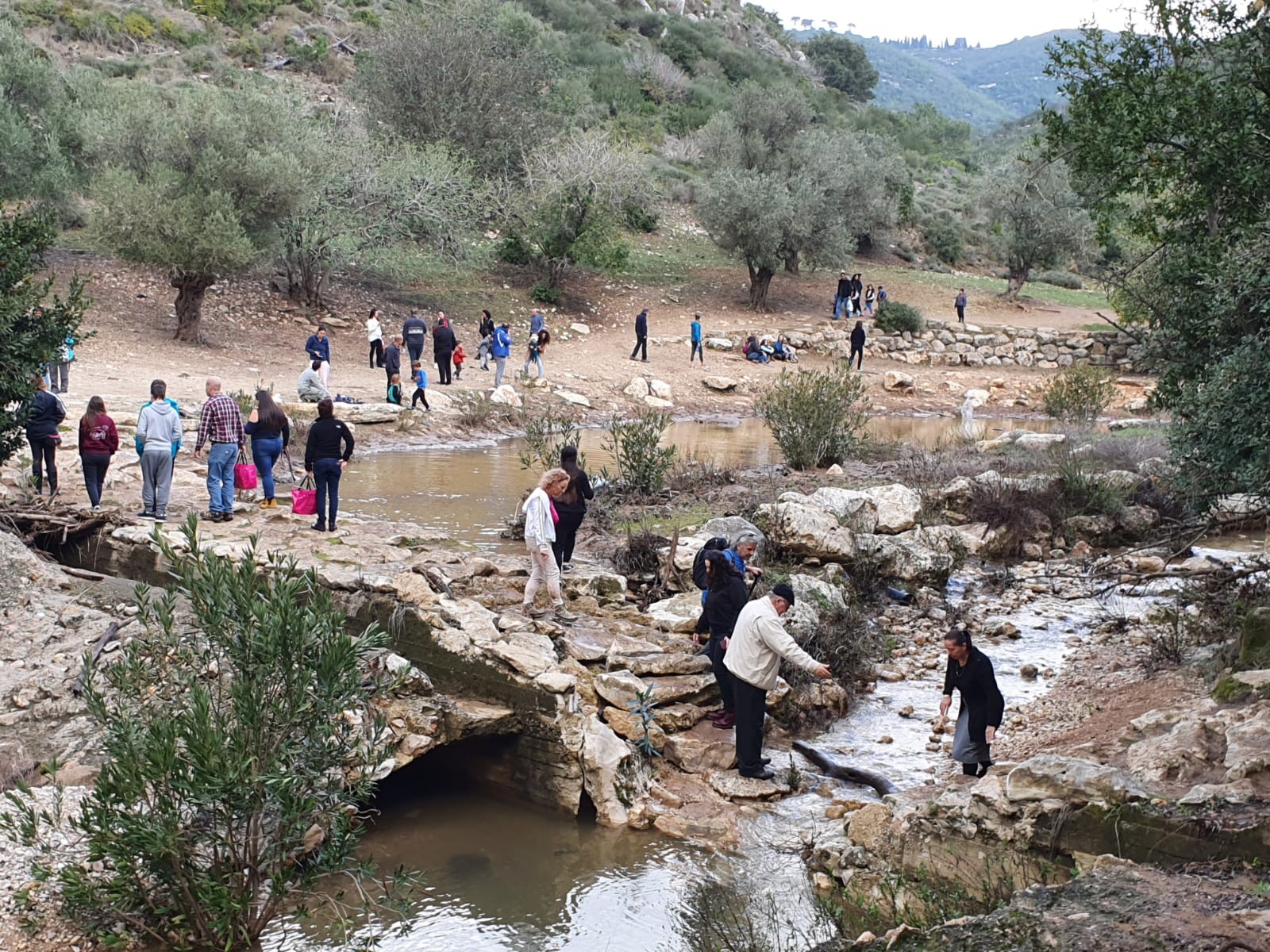 תחזית מזג האוויר