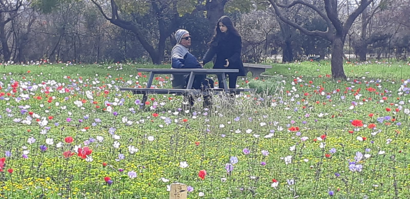 תחזית מזג האוויר