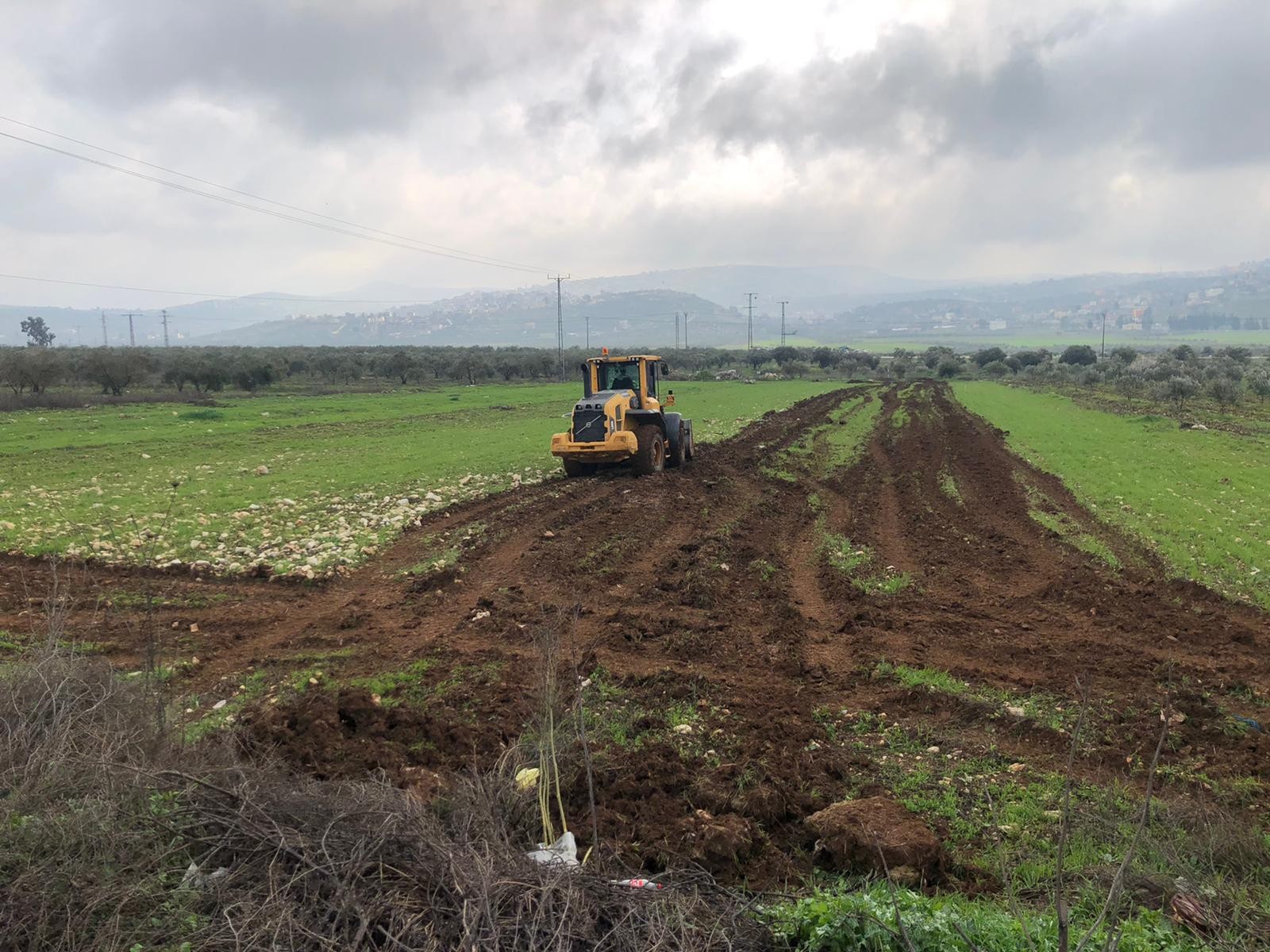 במועצה איזורית שומרון חוששים להקפאת בניה עקב החלת הריבונות