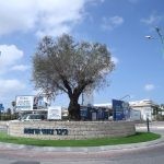 לאחר מתקפת 'הטרמיט הפורמוסי': בפתח תקווה החליטו להשיב מלחמה