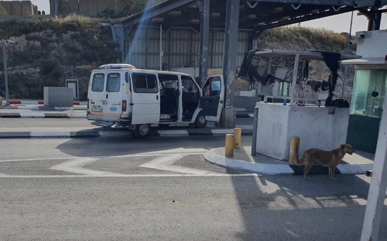 פיגוע דקירה ודריסה סמוך למעלה אדומים - לוחם פצוע קל