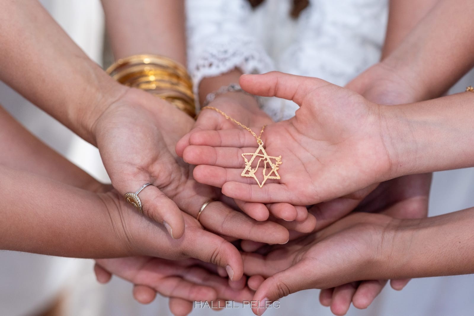 השרשרת שחיברה בין חיים לאדמה
