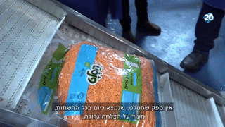 חסלט - עלי קטיף