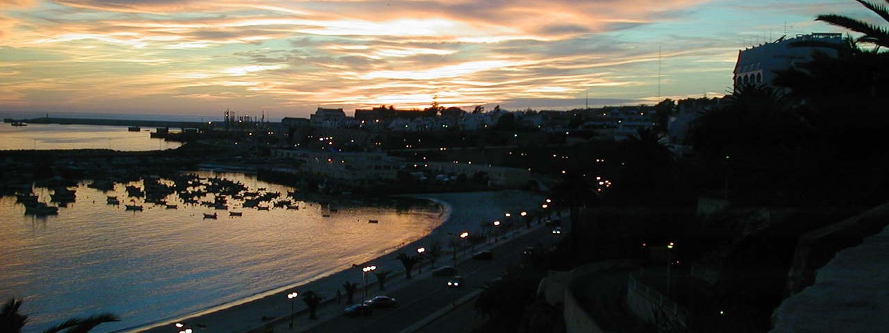 צילום אילוסטרציה: EPSON DSC picture