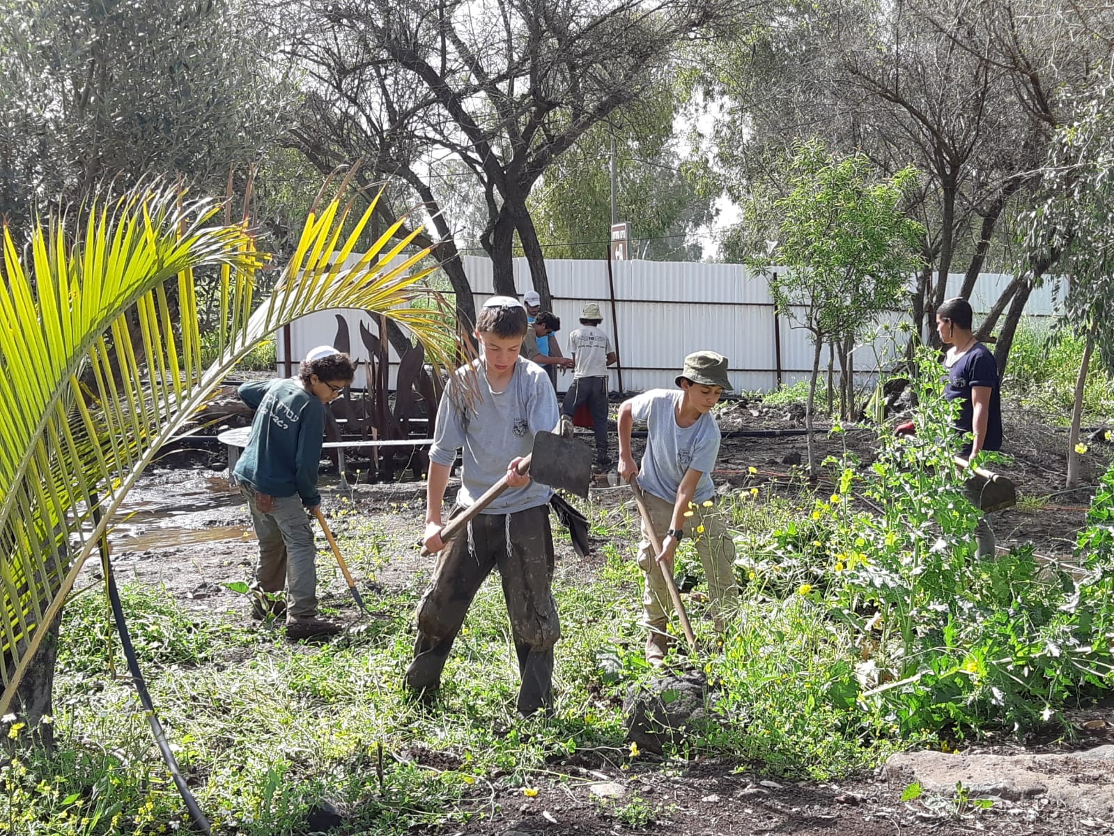 מרגש: תלמידי "רוח הגולן" משפצים אנדרטאות