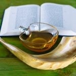 אל תבואו לא מוכנים: מה מקור השם רוביא, ומהו הכרתי? אלו המקורות של ברכות החג