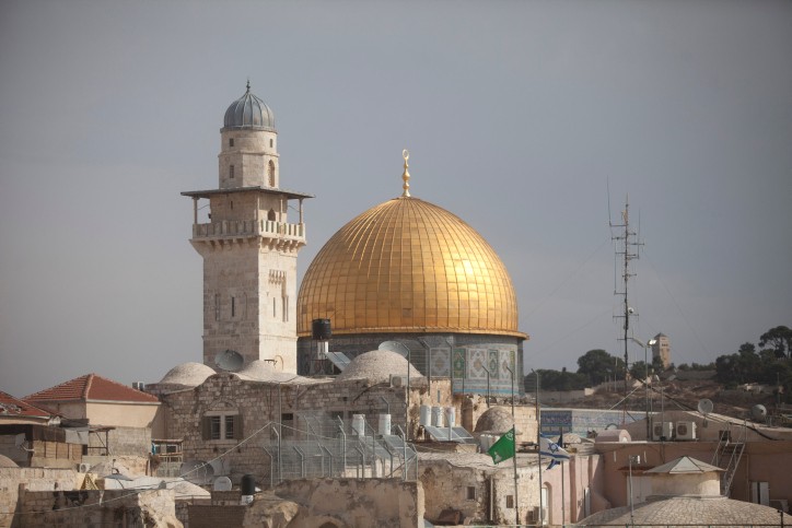 צילום: ליאור מזרחי, פלאש 90