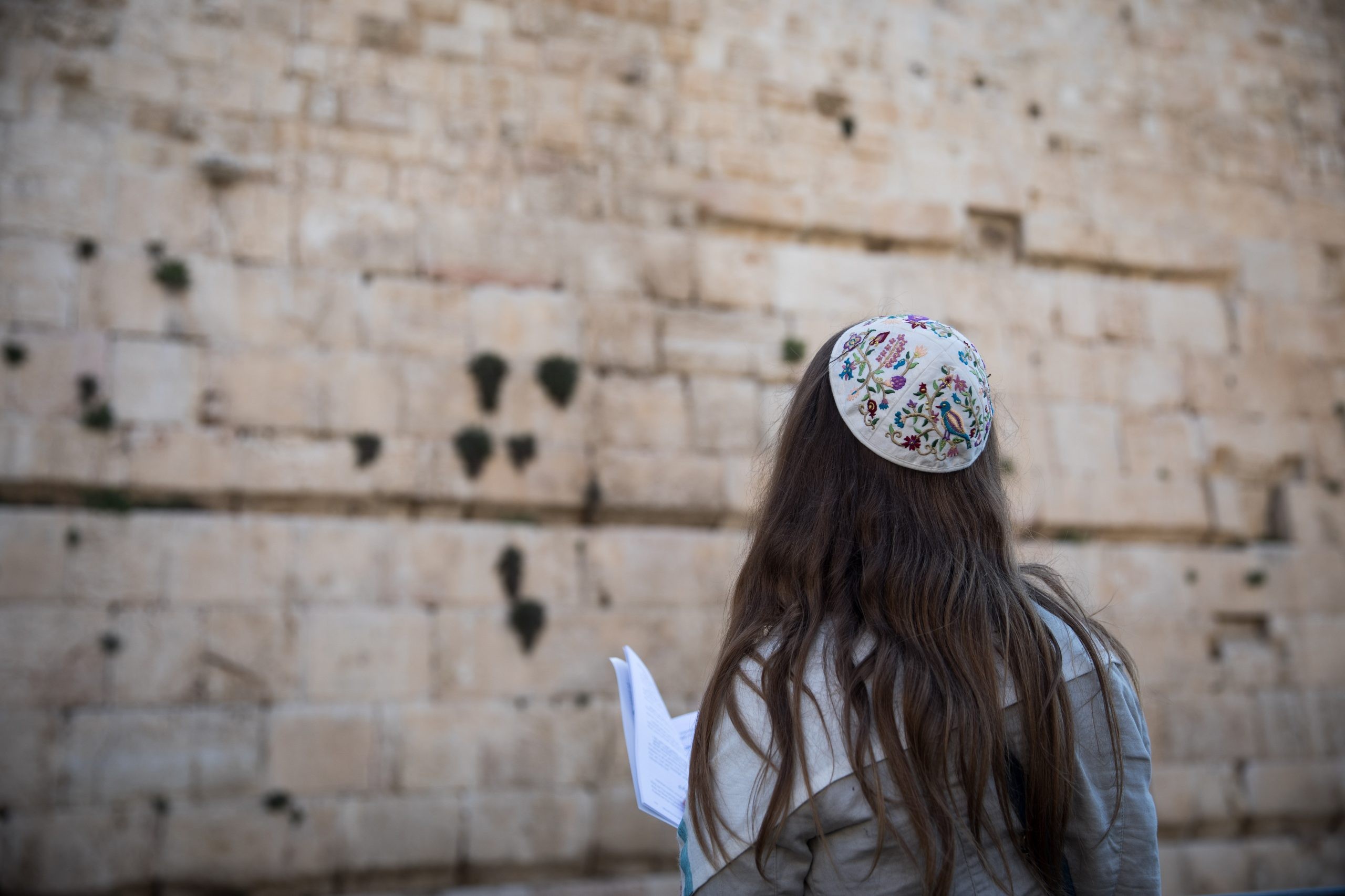 מי באמת מפסיד מבג"ץ הרפורמים? | דעה