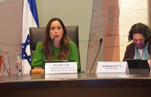 הסוף לבעיית המסתננים? חוק יסוד ההגירה הוגש לכנסת