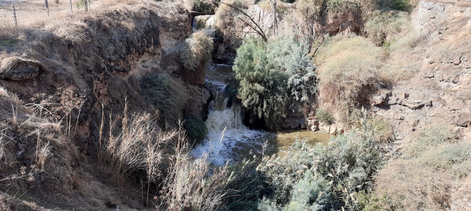 לא רק האסי: ליד בית שאן יש עוד נחל מעניין