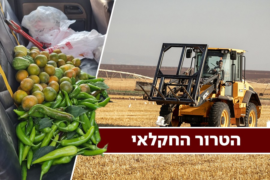 הדרום הפרוע – הטרור החקלאי משתולל