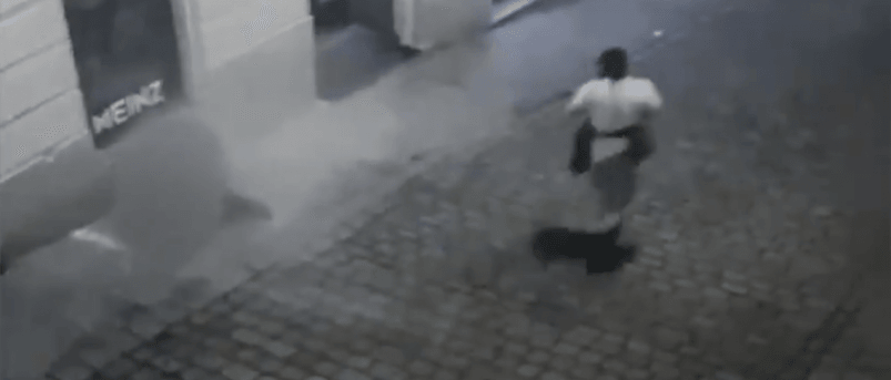 הפיגוע בווינה: המשטרה פשטה על נכסים השייכים לארגוני הטרור חמאס והאחים המוסלמים