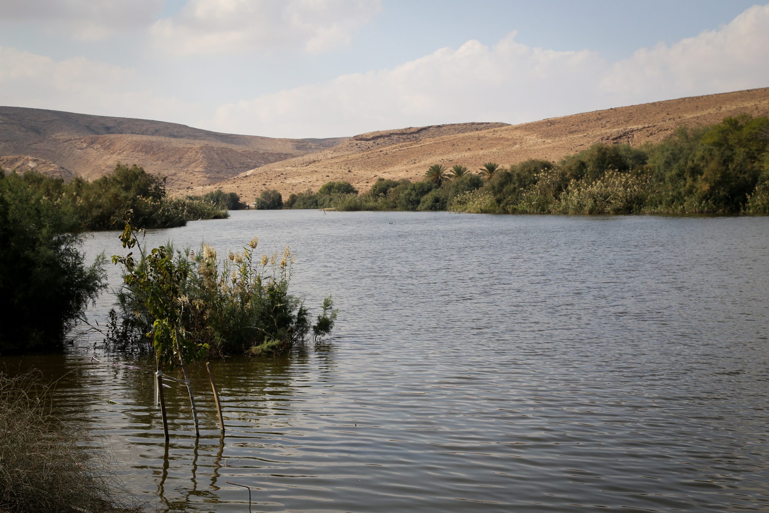 האזרח האמריקאי יצא לדוג והופתע מהגודל של הדג | תיעוד