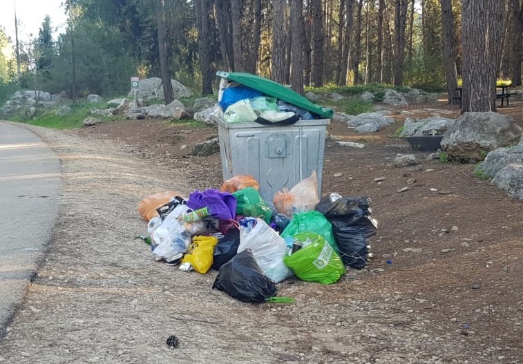 מעצבן: כך השאירו הישראלים את יערות קק"ל
