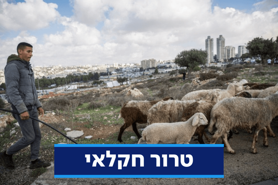 עדר נגנב בהר חברון, לאחר סריקות אותר בכפר ערבי