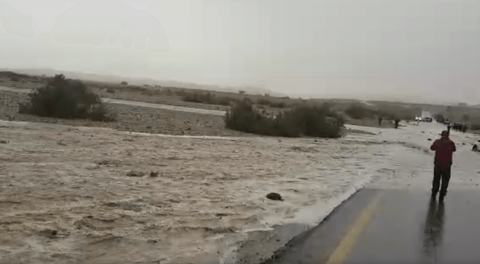 זרימה מרהיבה בנחל פארן | צפו