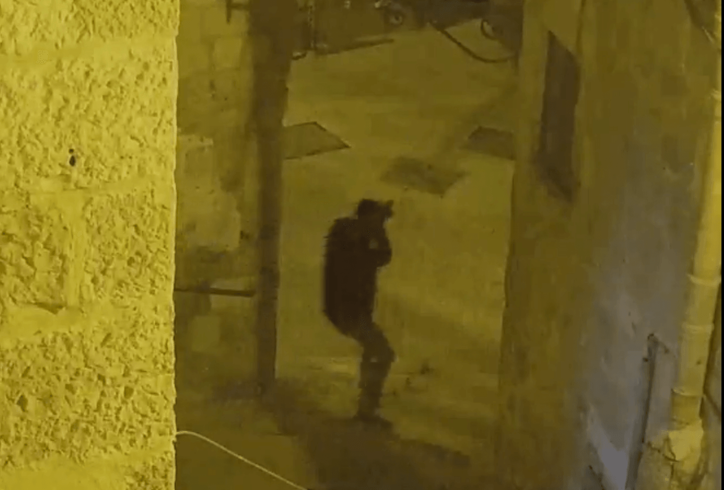 תיעוד הפיגוע בירושלים: המחבל יורה אל עבר השוטרים