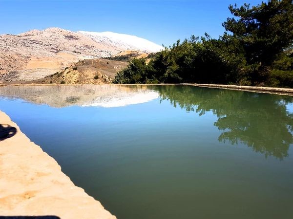 הכירו את עין חרמון - המעיין הכי גבוה בארץ