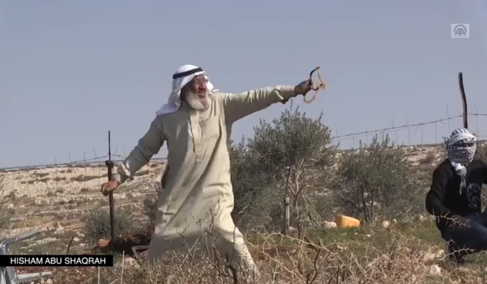 מקור רשתות ערביות