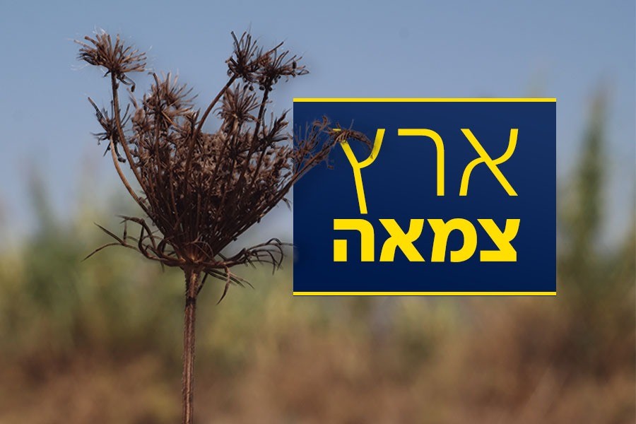 החורף כבר כאן, הגשם עוד לא | תמונת מצב מדאיגה