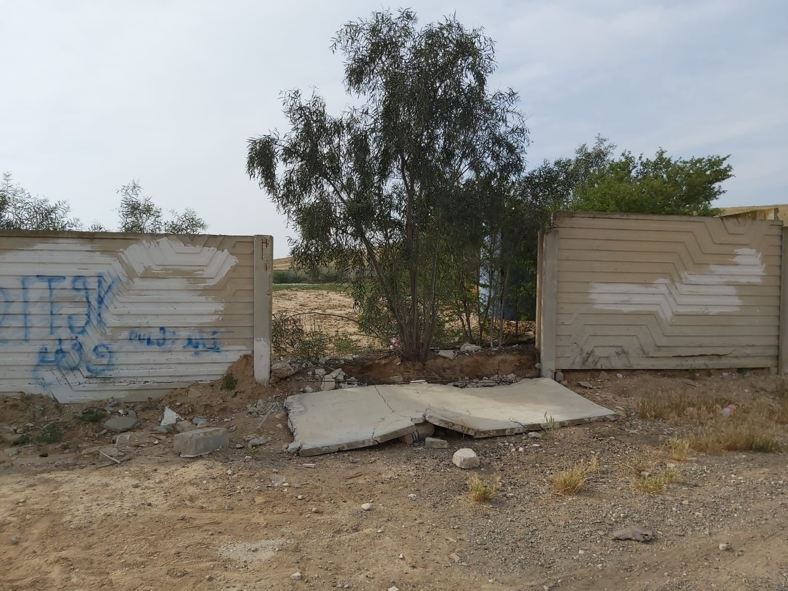 התמונות הקשות: פורעים בדואים חיללו את בית הקברות היהודי