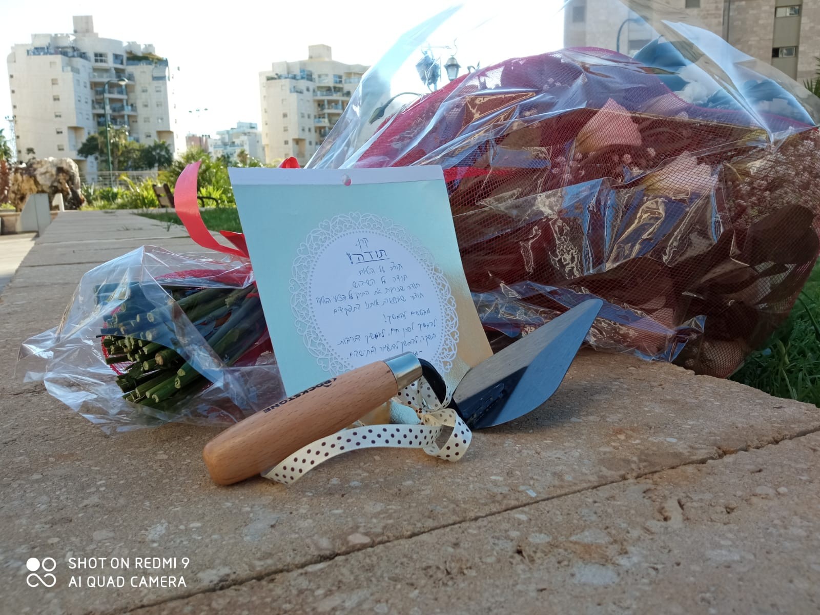 פרחים נשלחו לראש מח"ש - "תודה שטייחת"