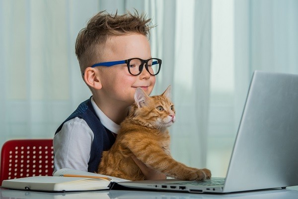 shutterstock