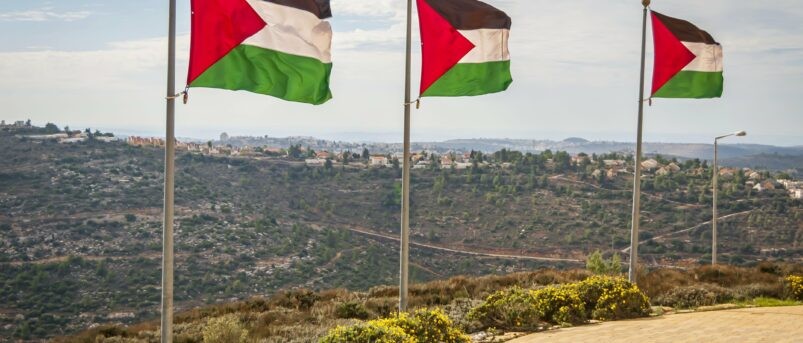 לאחר חשיפת ערוץ 20: צה"ל החרים מאות עצים מארגון 'הקק"ל הערבי'