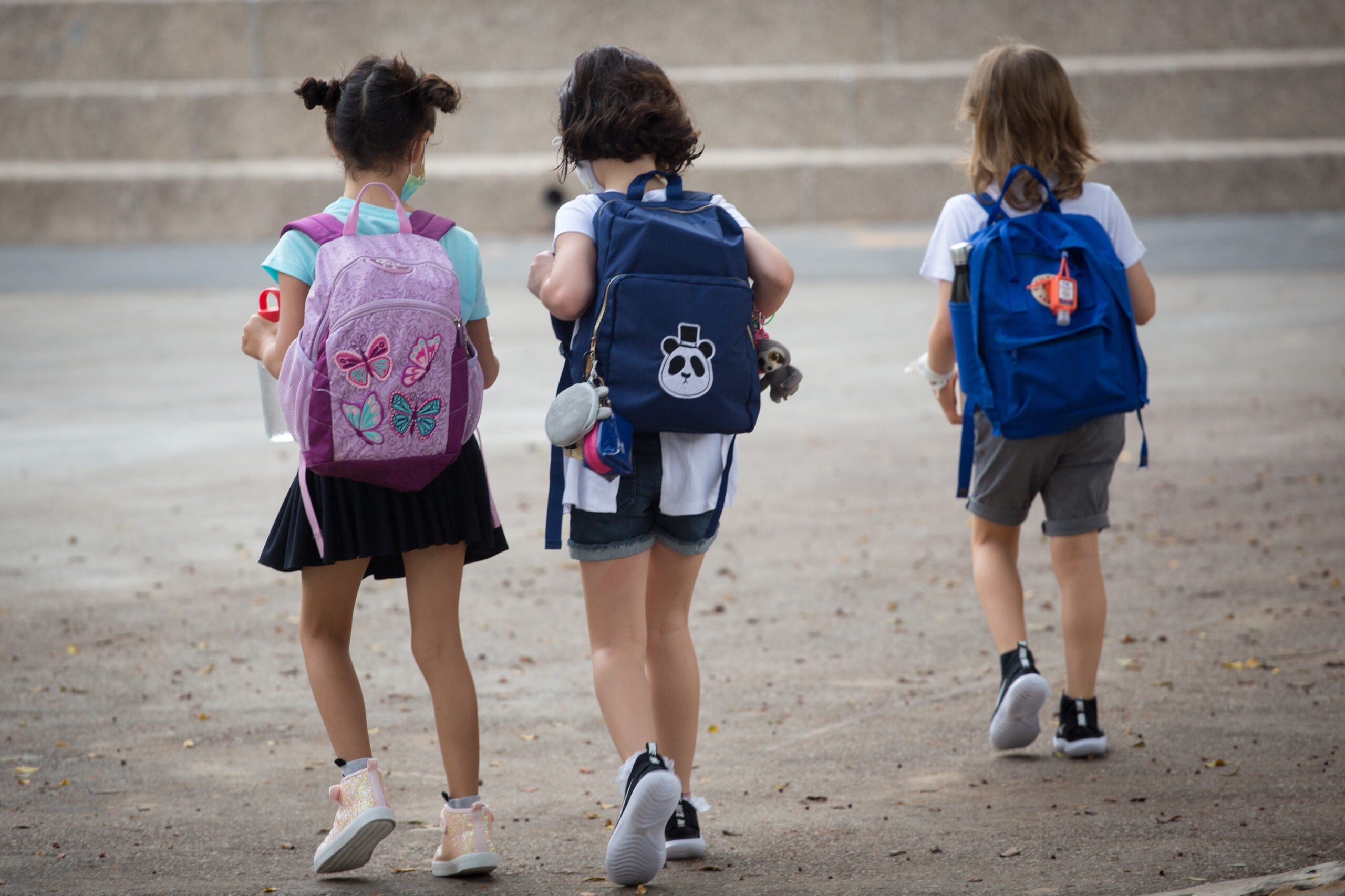 אילוסטרציה. צילום: מרים אלסטר, פלאש 90