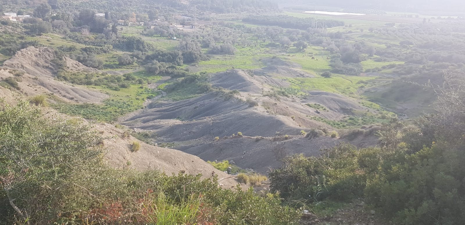 צילום: קובי פינקלר