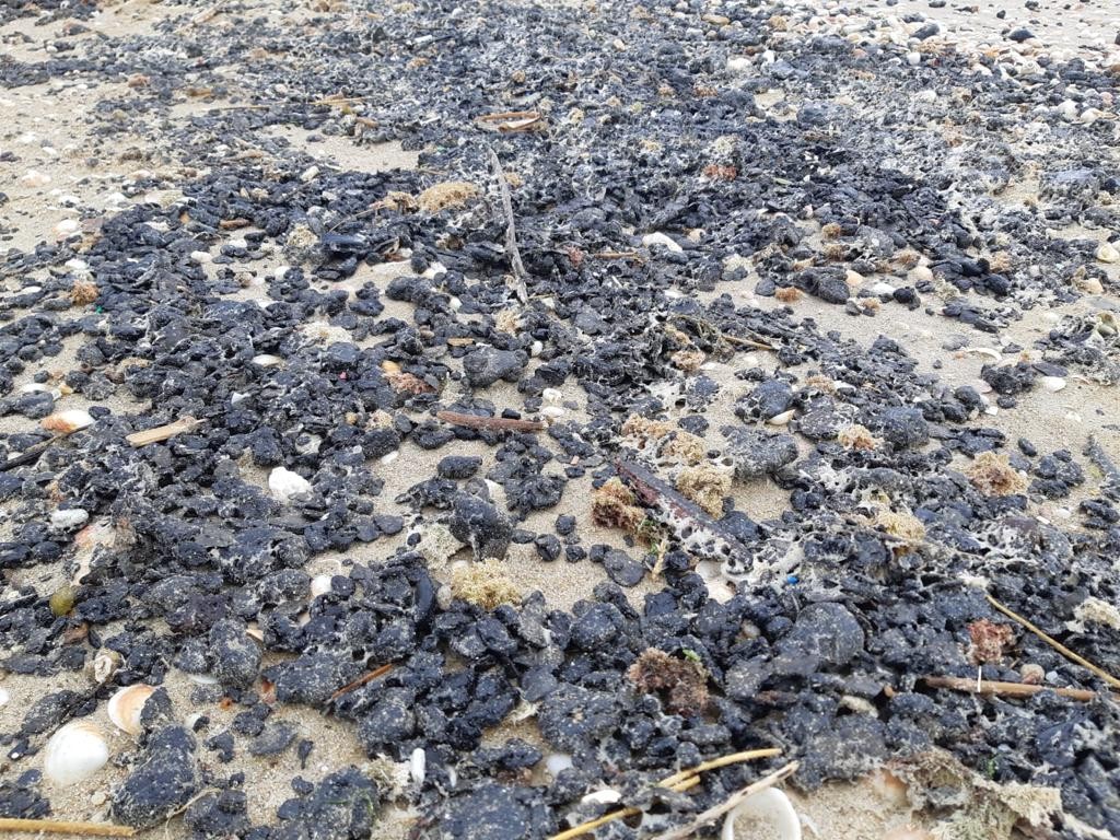 זפת בחוף דור. צילום: יוסי אוזן רשות הטבע והגנים
