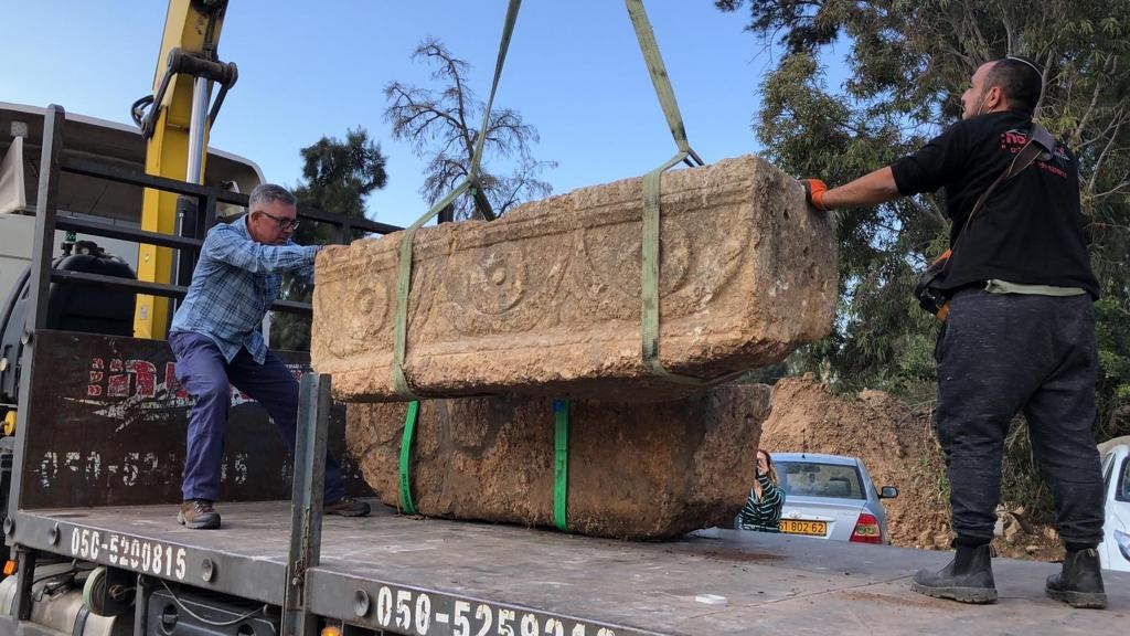 התגלית המיוחדת. צילום: דביר אביטן