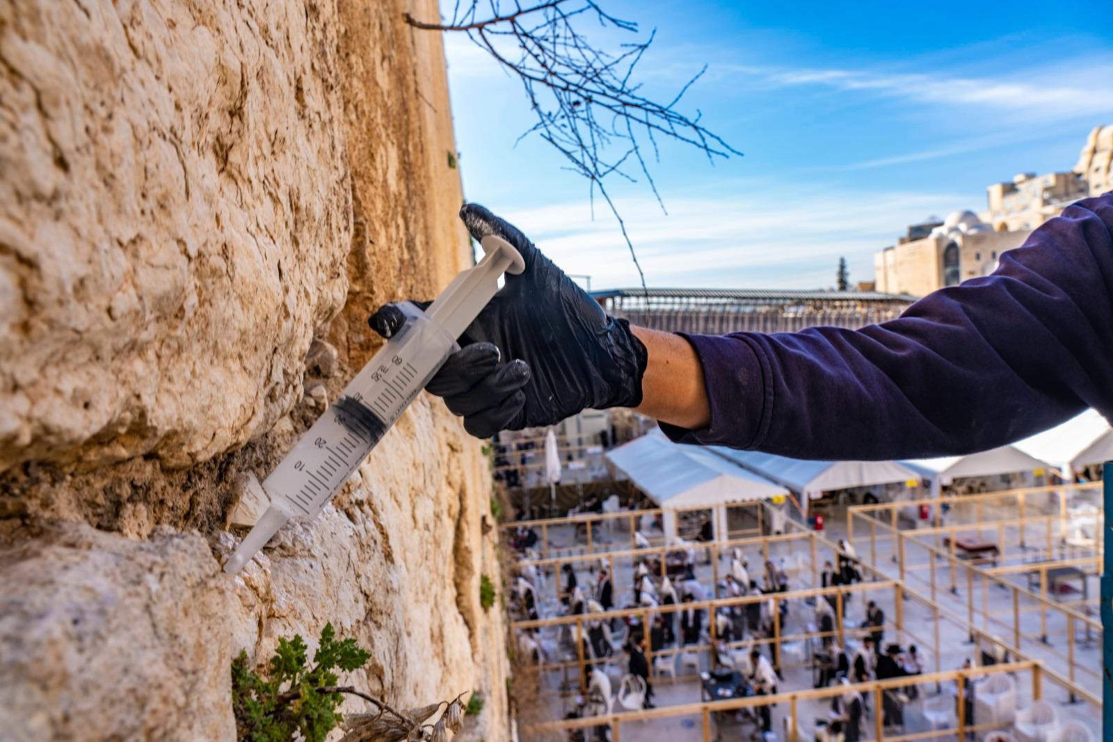 לא תאמינו: גם הכותל המערבי עבר "חיסון"