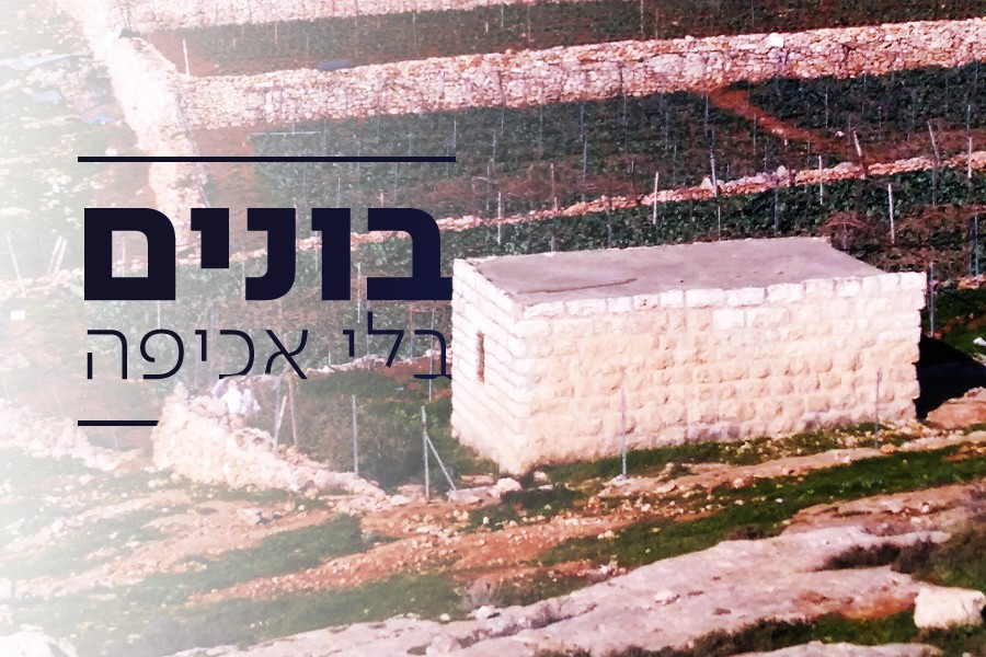 טרסה, כרם ואז בית: כך נראית ההשתלטות הערבית באזור קריית ארבע