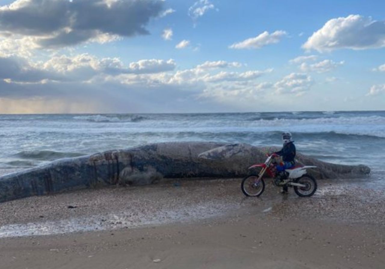 יום כדור הארץ: פורסמו המלצות מנהלת האקלים הישראלית